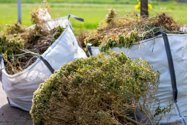 Best Construction Debris Removal  in Roselle, IL
