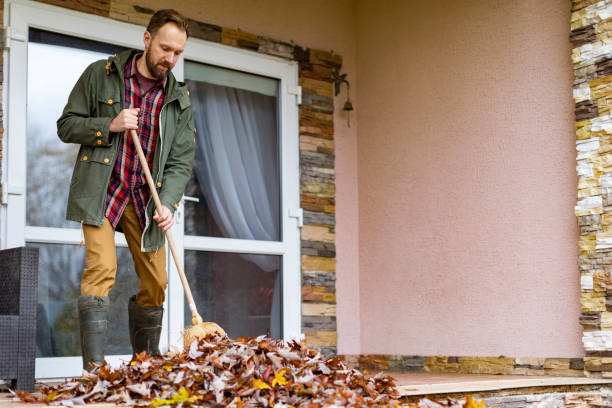 Best Professional Junk Removal  in Roselle, IL